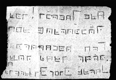 Photo by courtesy of Dr. Inge Jádi, Prinzhorn Sammlung, Heidelberg photo of the first Leaf